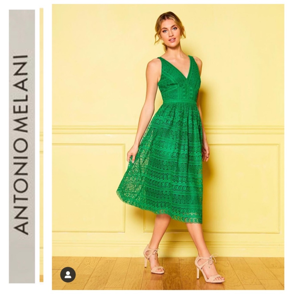 NWT Antonio Melani Green Lace Ruth Midi Dress